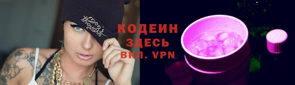 СК Тайга
