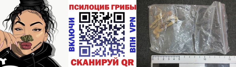 Галлюциногенные грибы Magic Shrooms  купить наркоту  omg онион  Можайск 